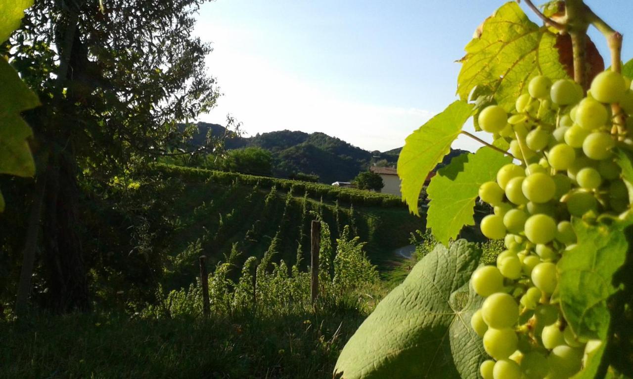 B&B Miro Pieve di Soligo Buitenkant foto